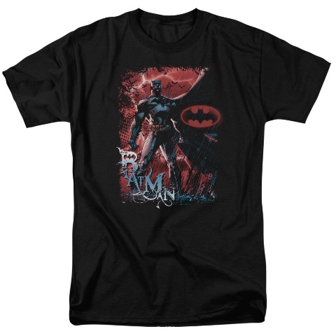 Batman-Gotham Reign - Short Sleeve Adult 18-1 Tee - Black- Medium