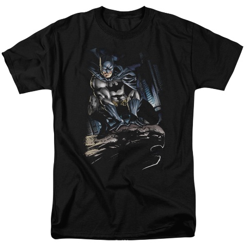 Batman-Perched - Short Sleeve Adult 18-1 Tee - Black, 4X