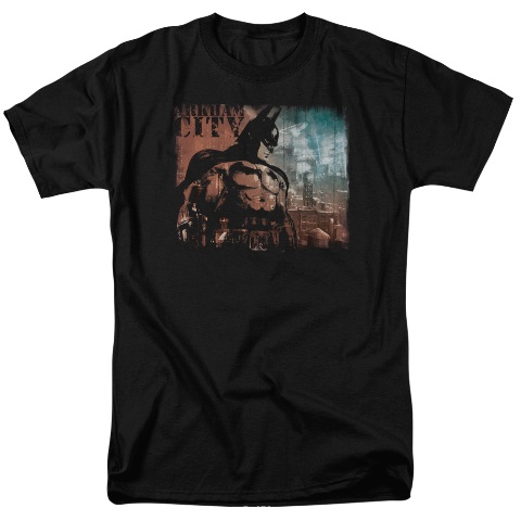 Arkham City-City Knockout - Short Sleeve Adult 18-1 Tee - Black- Small