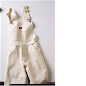Dickies Men's Painter's Bib Overalls in White size 30