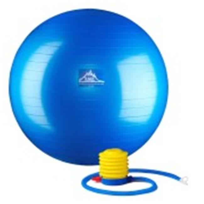 55 cm. Static Strength Exercise Stability Ball  Blue