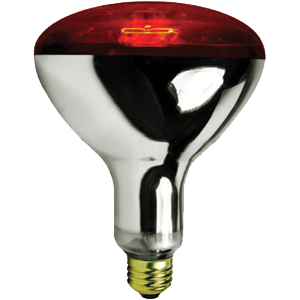 S4998 25W Medium Base Red Heat Lamp - Red - 120v