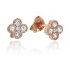 Picture of Little Sparkles Clover Earrings - Rose Gold Sterling Silver 925