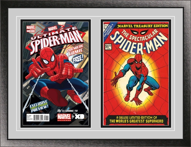 Picture of Perfect Cases DBCMC-CL Double Comic Book Frame with Classic Moulding