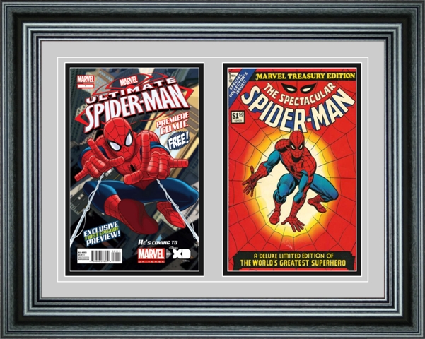 Picture of Perfect Cases DBCMC-PM Double Comic Book Frame with Premium Moulding