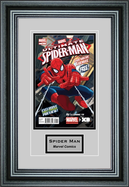 Perfect Cases SCMCENG-PM Single Comic Book Frame with Engraving in Premium Moulding