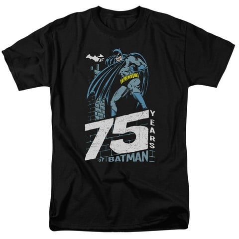 Batman-Rooftop - Short Sleeve Adult 18-1 Tee - Black- Large