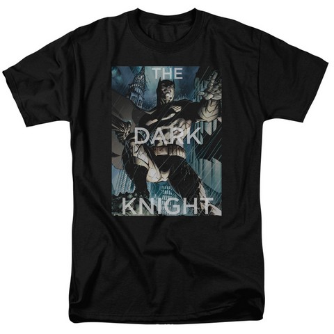 Batman-Fighting The Storm - Short Sleeve Adult 18-1 Tee - Black- Medium