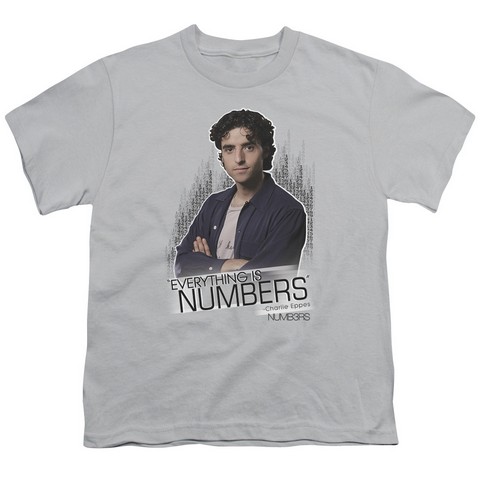 Numbers-Everything Is Numbers - Short Sleeve Youth 18-1 Tee - Silver- Extra Large
