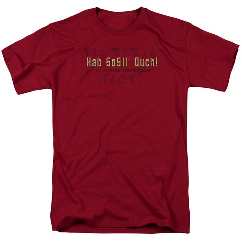 Star Trek-Your Nother - Short Sleeve Adult 18-1 Tee - Cardinal- 3X -  Trevco, CBS1178-AT-6