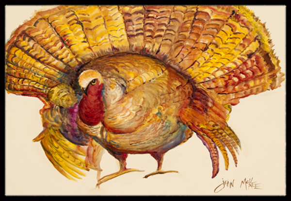 Turkey Indoor & Outdoor Mat - 24 x 36 in.