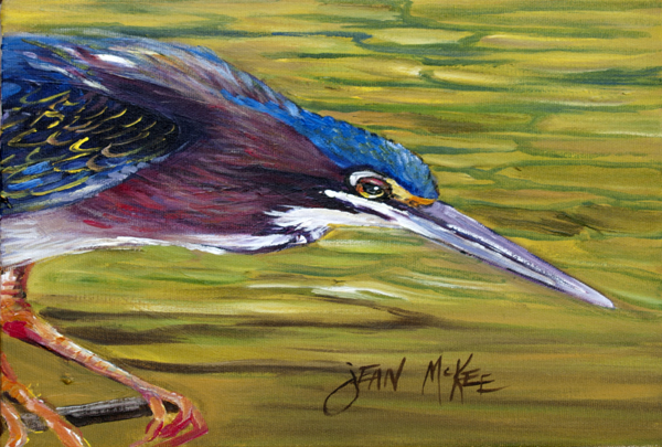 Picture of Carolines Treasures JMK1016PLMT Green Heron Fabric Placemat