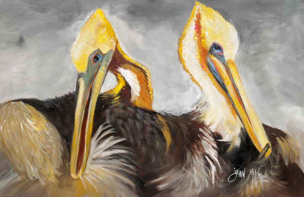 Picture of Carolines Treasures JMK1025PLMT Pelicans Preening Fabric Placemat