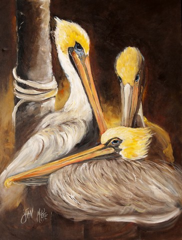Brown Pelicans Flag Garden Size
