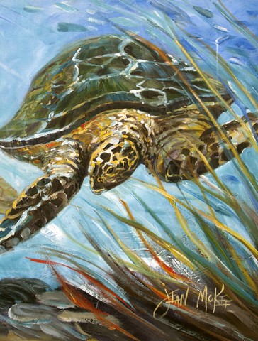 JMK1168CHF Loggerhead Sea Turtle Flag Canvas House Size