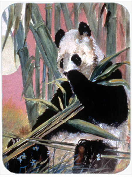 Giant Panda Mouse Pad, Hot Pad & Trivet