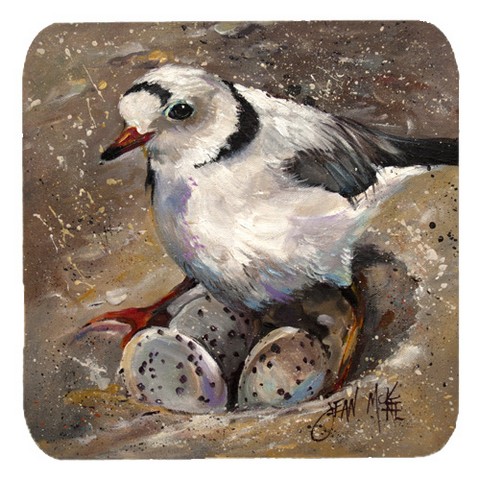 Piping Plover Foam Coasters, Set Of 4