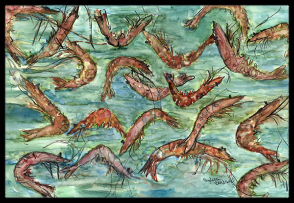 Catch Of Shrimp Indoor  Outdoor Mat44 18 x 27 in