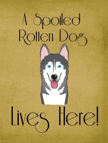 BB1466GF Alaskan Malamute Spoiled Dog Lives Here Flag Garden Size