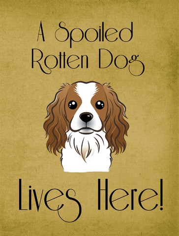 BB1472GF Cavalier Spaniel Spoiled Dog Lives Here Flag Garden Size
