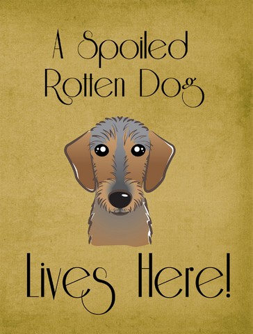 BB1481GF Wirehaired Dachshund Spoiled Dog Lives Here Flag Garden Size
