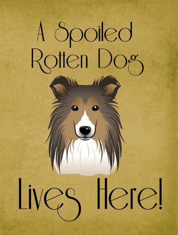 BB1490GF Sheltie Spoiled Dog Lives Here Flag Garden Size