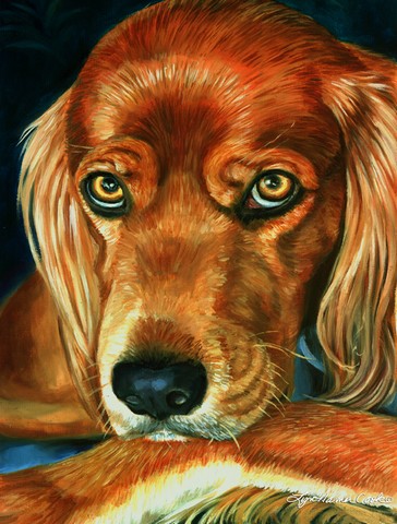 Irish Setter Serious Flag Garden Size