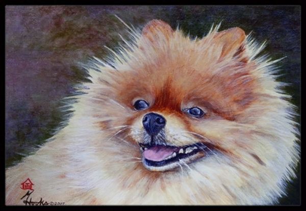 Pomeranian Head Indoor & Outdoor Mat- 24 x 36 in.