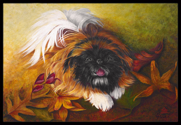 Pekingese Boogie Indoor & Outdoor Mat - 24 x 36 in.