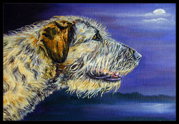 Irish Wolfhound Looking Indoor & Outdoor Mat- - 18 x 27 in.