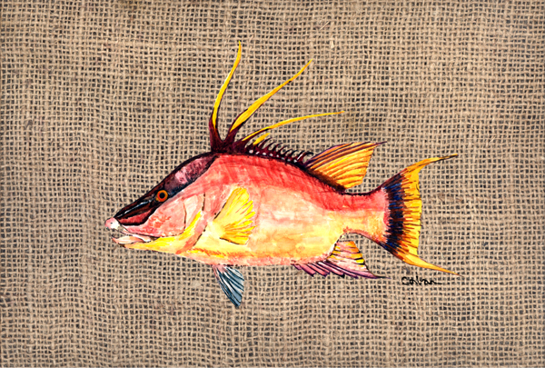 Hog Snapper On Faux Burlap Fabric Placemat