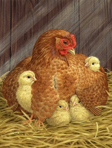 My Little Chickadees With Hen Chicken Flag Garden Size