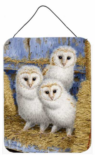 Barn Owl Chicks Wall and Door Hanging Prints