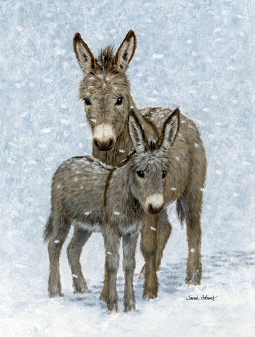 ASA2149GF Donkeys Flag Garden Size