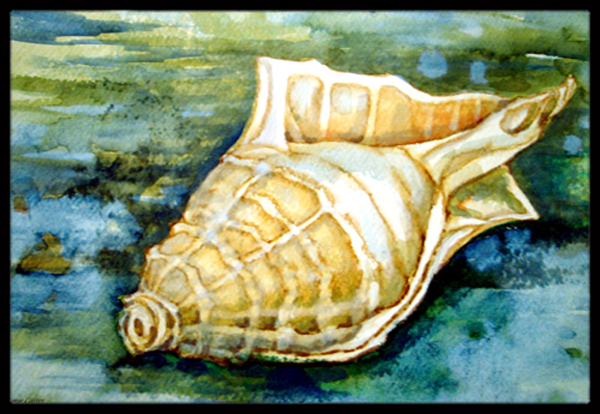 Seashells Inspire Me Indoor & Outdoor Mat- 24 x 36 in.