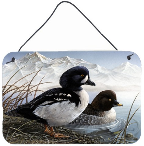 Goldeneye Ducks In The Water Wall and Door Hanging Prints