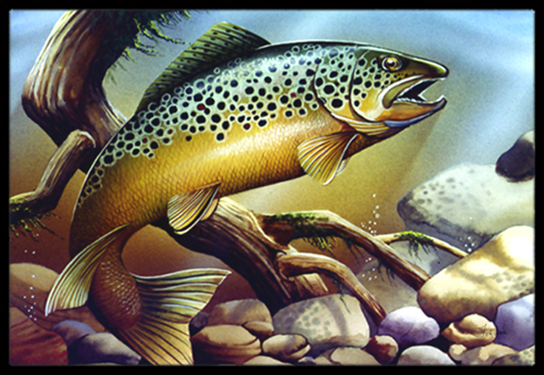 Brook Trout Indoor & Outdoor Mat, 24 x 36 in.