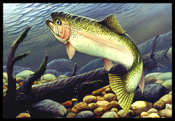 Rainbow Trout Indoor & Outdoor Mat, 24 x 36 in.