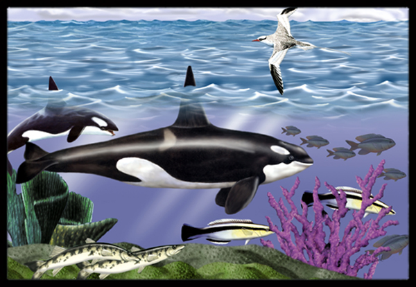 Whale Orcas Indoor & Outdoor Mat 24 x 36 in.