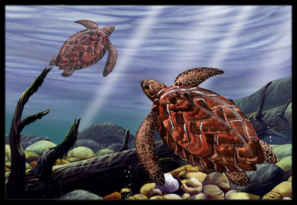 PTW2042JMAT Sea Turtles Indoor & Outdoor Mat- 24 x 36 in.