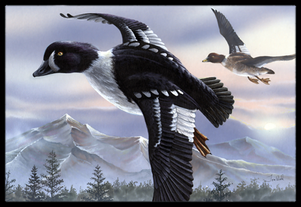 Goldeneye Ducks Flying Indoor & Outdoor Mat, 24 x 36 in.