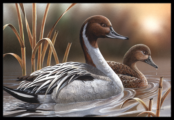 Pintails Indoor & Outdoor Mat - 24 x 36 in.