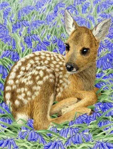 Deer Fawn Flag Canvas House Size