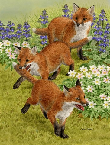 Fox Cubs Flag Canvas House Size