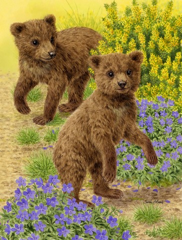 Bear Cubs Flag Canvas House Size