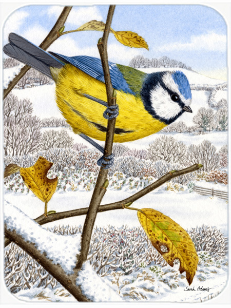 Picture of Carolines Treasures ASA2051LCB Eurasian Blue Tits Bird Glass Cutting Board- Large
