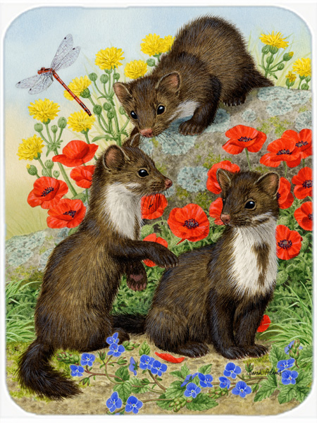 Picture of Carolines Treasures ASA2122LCB Stone Martins Beech Marten Glass Cutting Board- Large