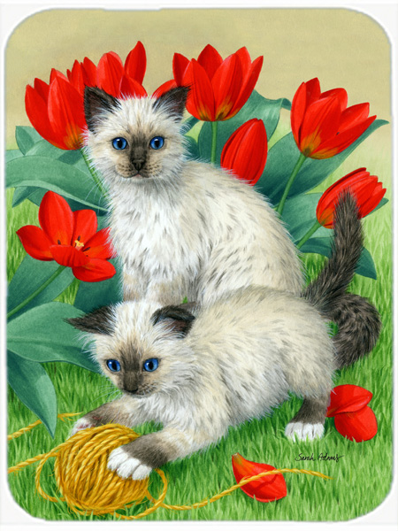 Picture of Carolines Treasures ASA2125LCB Birman Kittens Glass Cutting Board- Large