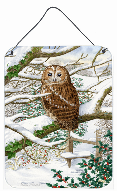 Tawny Owl Wall and Door Hanging Prints