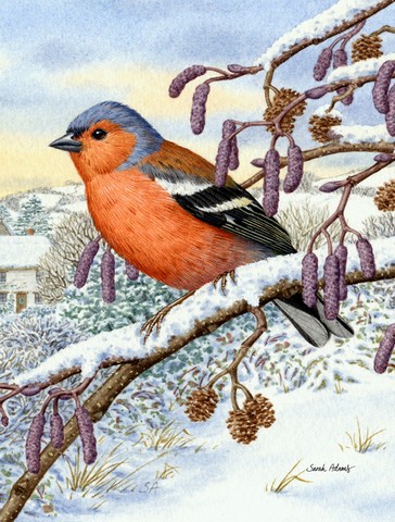 Eurasian Bullfinch Flag Garden Size